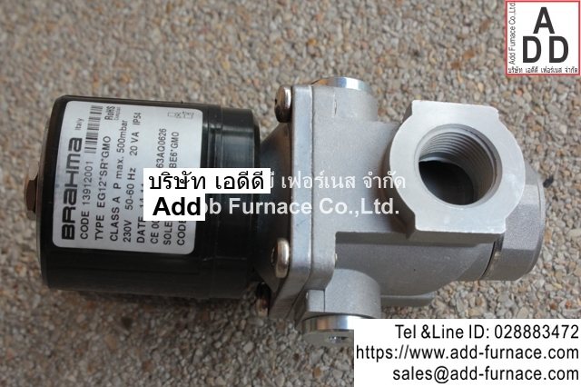Brahma Type EG12*SR*GMO (9)
